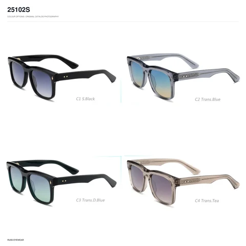 25102S Sunglasses
