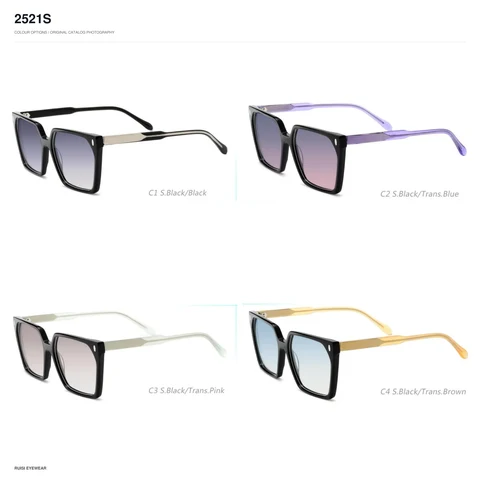 2521S Sunglasses
