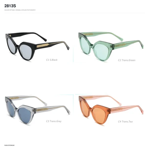 2813S Sunglasses