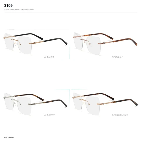 3109 Metal Optical Frames