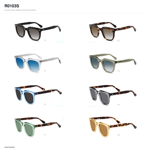 R0103S Sunglasses
