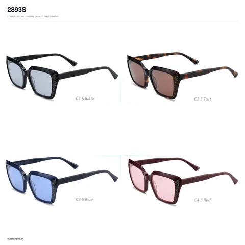 2893S Sunglasses