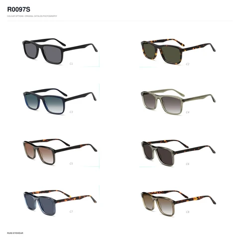 R0097S Sunglasses