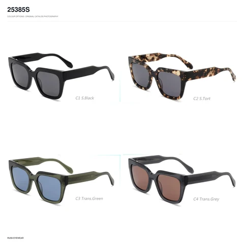 25385S Sunglasses