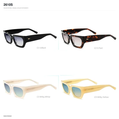2610S Sunglasses