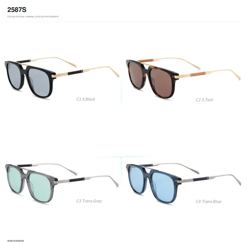 2587S Sunglasses