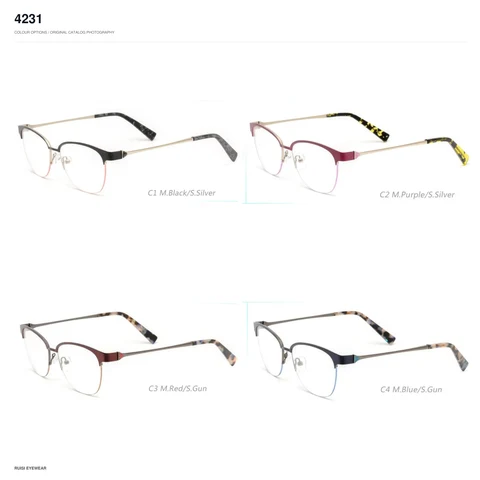 4231 Metal Optical Frames