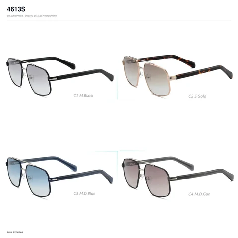 4613S Sunglasses