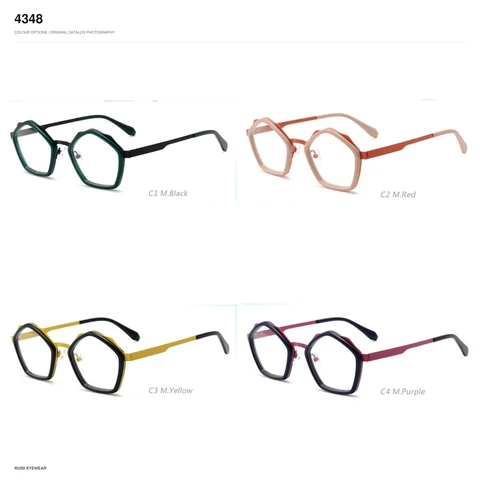 4348 Metal Optical Frames