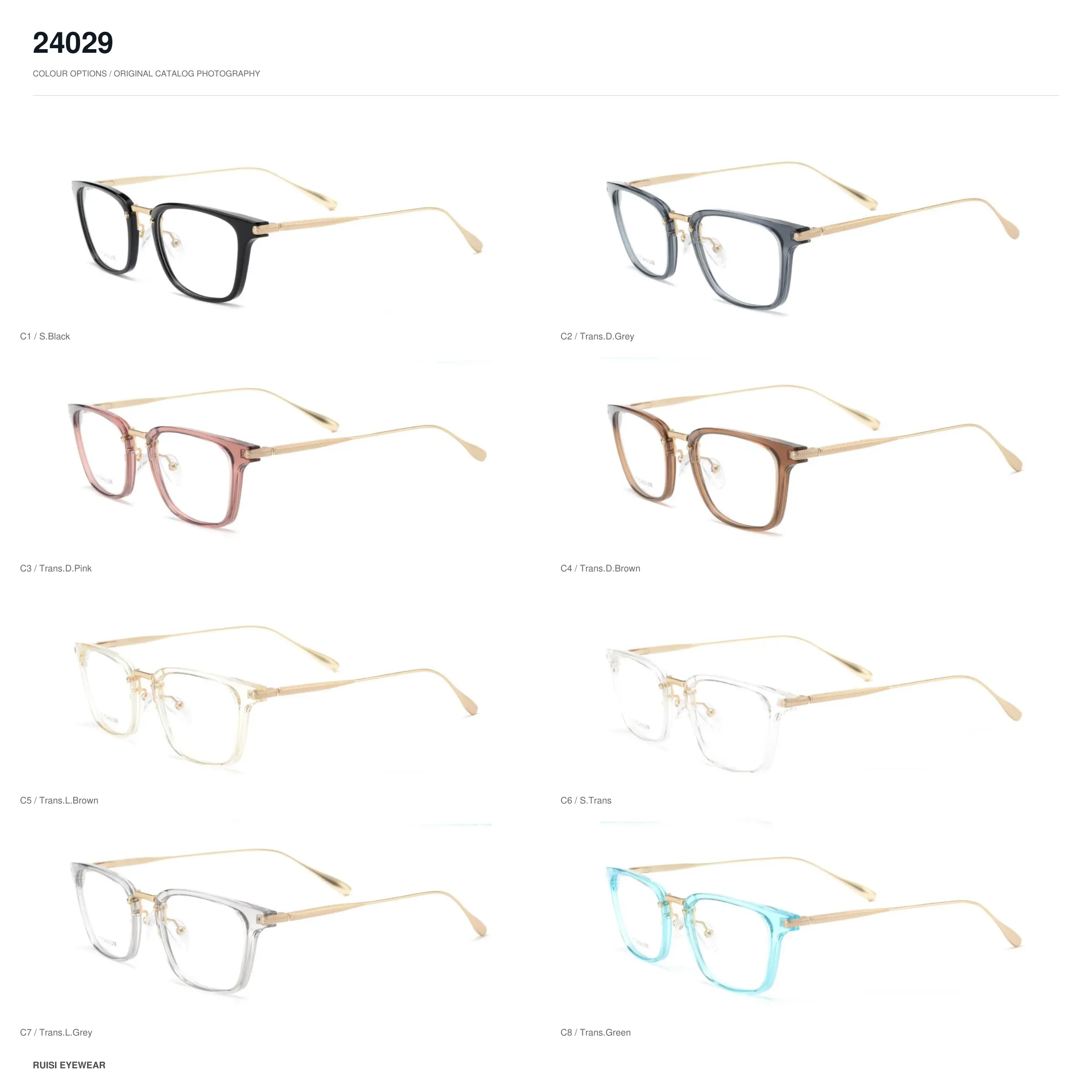 24029 TR Optical Frames