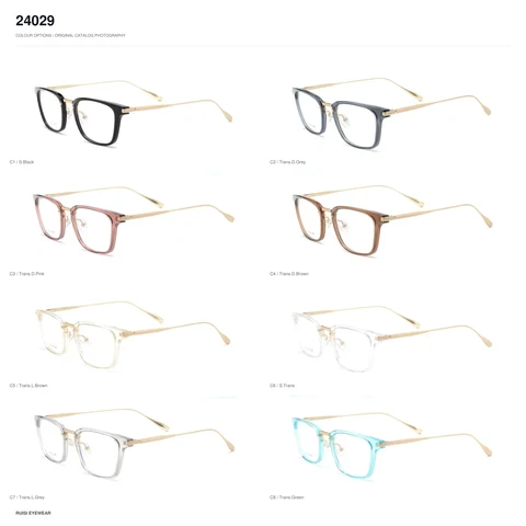 24029 TR Optical Frames