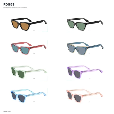 R0085S Sunglasses