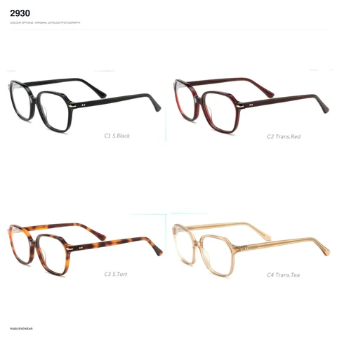 2930 Acetate Optical Frames