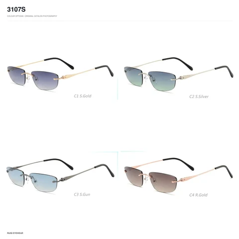 3107S Sunglasses
